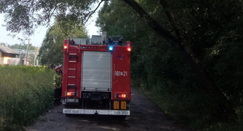 Zdjęcie: Pochylone drzewo mogło runąć na pojazd lub człowieka