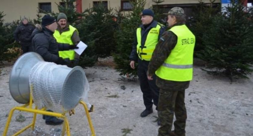 na zdjęciu: strażnicy Leśni sprawdzają legalność pochodzenia sprzedawanych drzewek