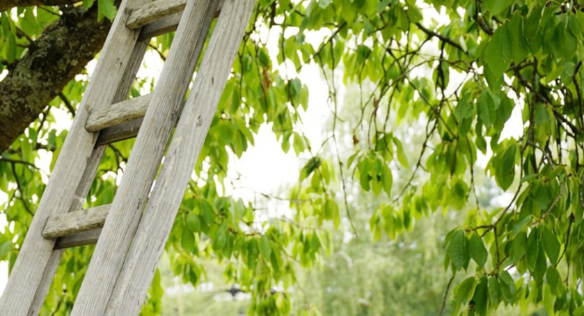 Zdjęcie ilustracyjne