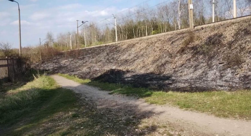 Zdjęcie : OSP Suchedniów