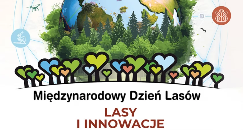 Wydarzenia , Dziś Międzynarodowy Dzień Lasów Zobacz zaplanowano twojej okolicy - zdjęcie, fotografia