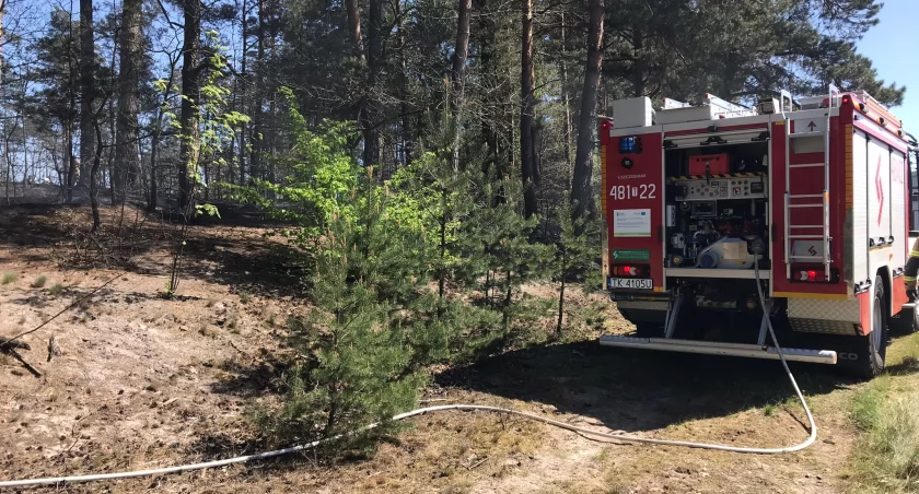 W akcji gaśniczej skarżyskich strażaków wspierały samoloty typu dromader 
