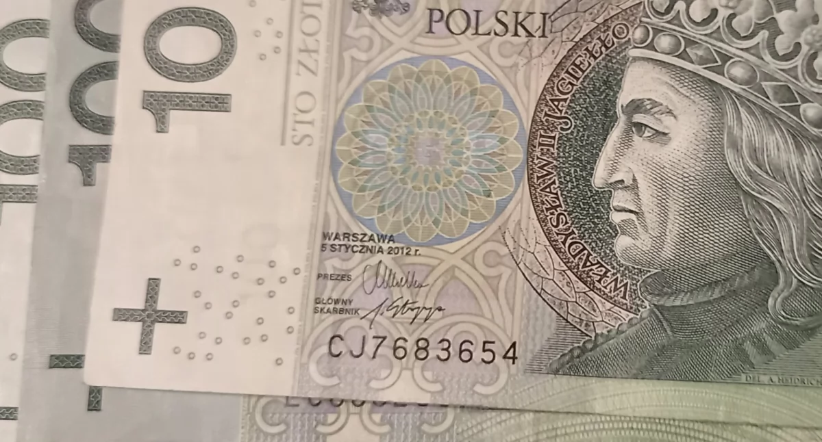 Majątki włodarzy
