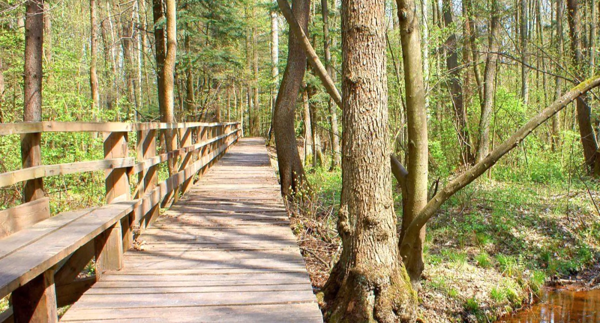 Lepsza strona środowiska, Rezerwat Mroczków Dalejów - zdjęcie, fotografia