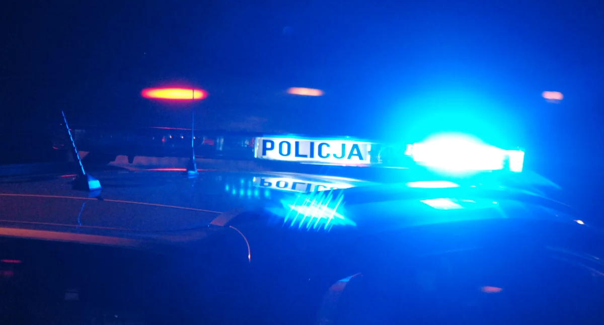 Wypadki , Wypadek terenie powiatu skarżyskiego Pociąg pośpieszny uderzył dzika Jęgrznej - zdjęcie, fotografia