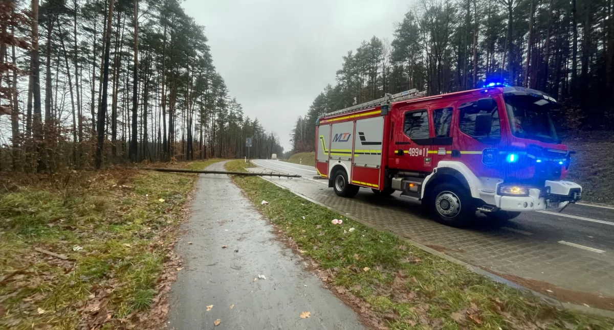 Straż Pożarna, Silny wiatr straty powiecie skarżyskim Poderwany - zdjęcie, fotografia