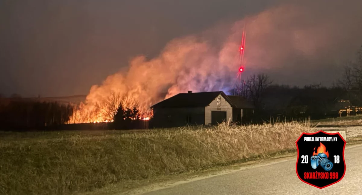 Strażacy gaszą wyoakane trawy   Fot. @Skarżysko 998 