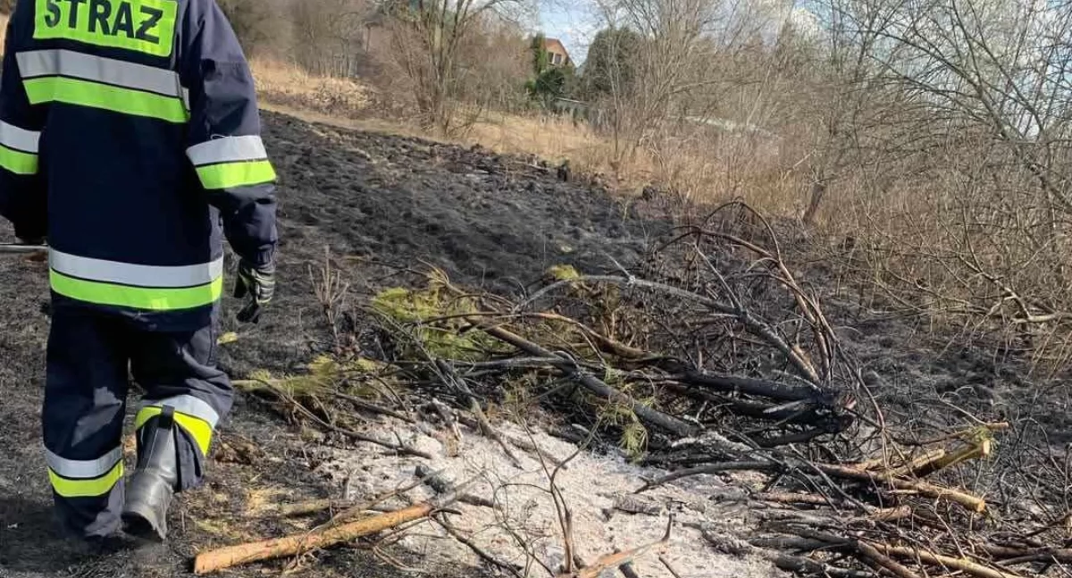 Pożary, Niebezpieczne trawy powiecie skarżyskim Strażaków pełne ręce roboty - zdjęcie, fotografia