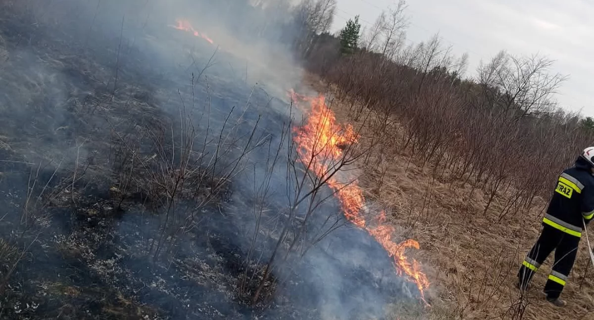Pożary, zaprzestanie wypalania Kolejne pożary powiecie skarżyskim - zdjęcie, fotografia