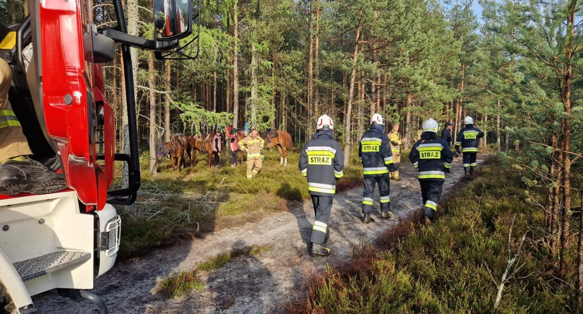 Straż Pożarna, Nietypowa akcja ratunkowa gminie Bliżyn latka spadła konia - zdjęcie, fotografia