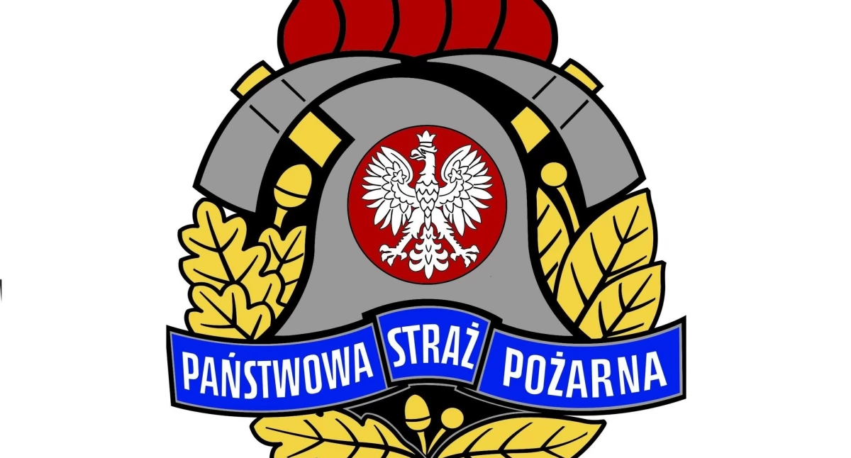 Straż Pożarna, Nietypowa akcja ratunkowa Skarżysku Kamiennej Mężczyzna nadział ogrodzenie - zdjęcie, fotografia