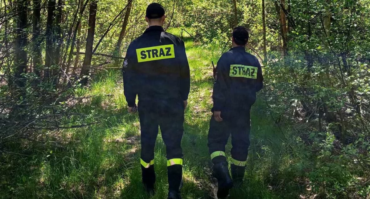 Zaginieni , Policjanci rodzina czekają pozytywne wieści Kiedy nastąpi przełom poszukiwaniach latki - zdjęcie, fotografia