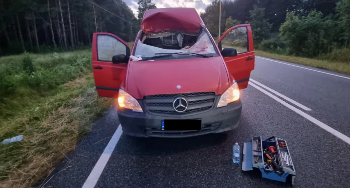 Wypadki , Dramatyczne zderzenie Górkach Jeleń wpadł wnętrza - zdjęcie, fotografia