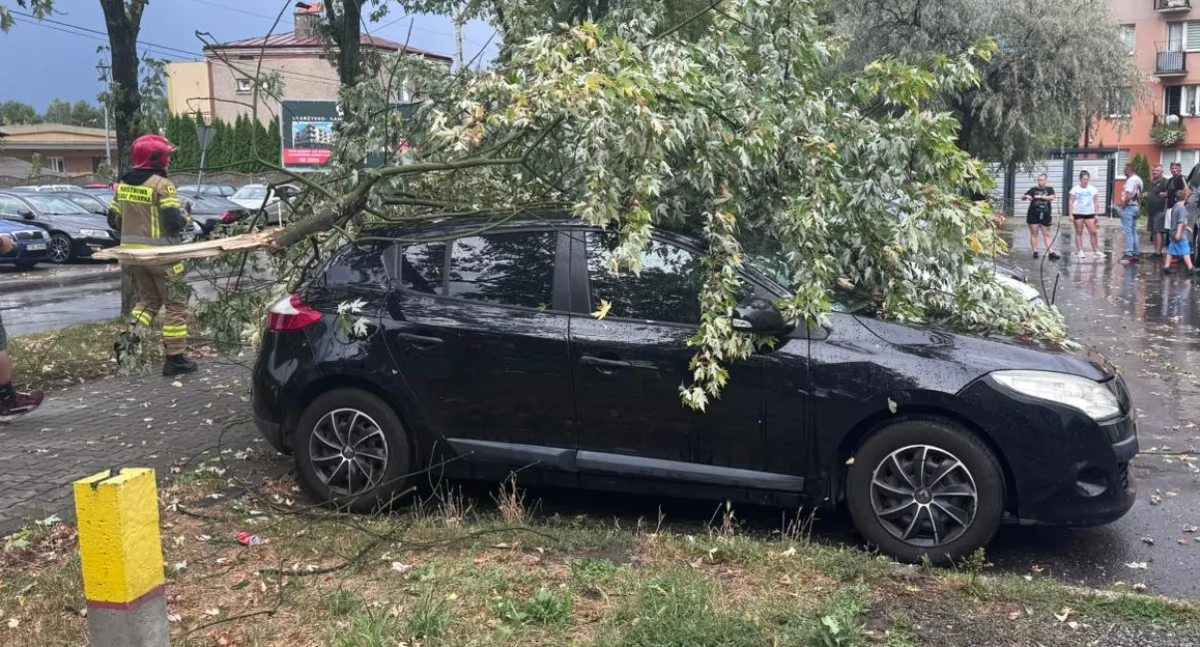 Straż Pożarna, Burza gradem Skarżyskiem  Drzewo przygniotło samochód - zdjęcie, fotografia