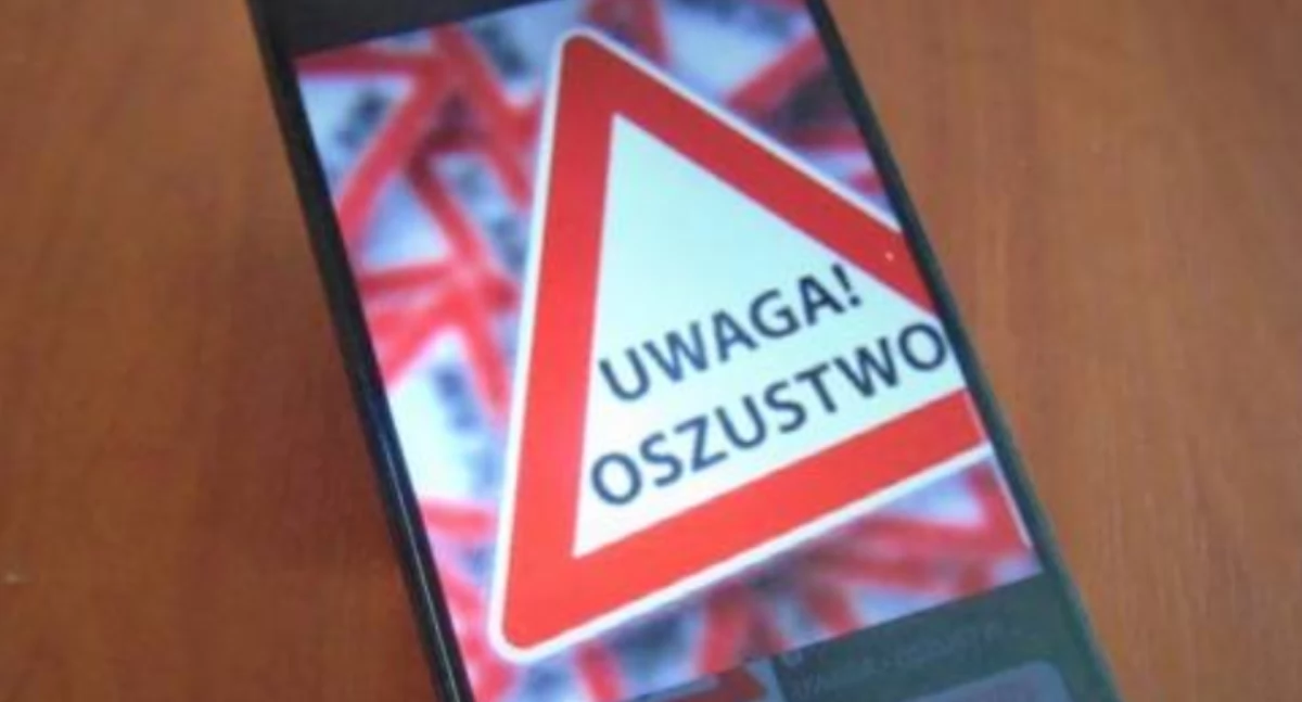 Kronika policyjna , Sprzedała baterię straciła tysięcy - zdjęcie, fotografia