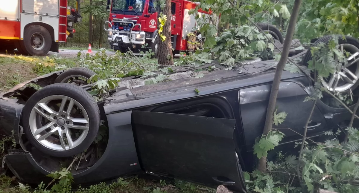 lesie pomiędzy miejscowościami Świerczek i Kierz Niedźwiedzi