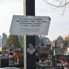 zdjęcie nr 14