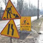 zdjęcie nr 7