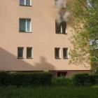 Fotka nr 4 z 9