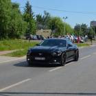 zdjęcie nr 73