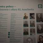 zdjęcie nr 21