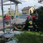 zdjęcie nr 13