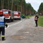 Fotka nr 2 z 10