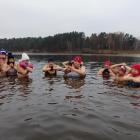 zdjęcie nr 12