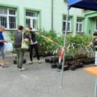 w starachowicach