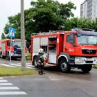 Fotka nr 1 z 12