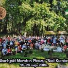 zdjęcie nr 11
