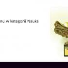 nagroda1