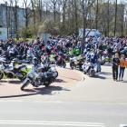 zdjęcie nr 12