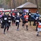 zdjęcie nr 19
