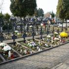 zdjęcie nr 9
