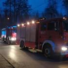 Fotka nr 2 z 3