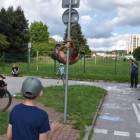 zdjęcie nr 12