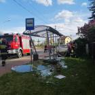 zdjęcie nr 11