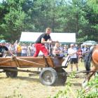 zdjęcie nr 26