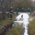 Fotka nr 1 z 3