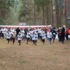 zdjęcie nr 15