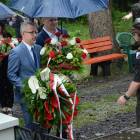 zdjęcie nr 28