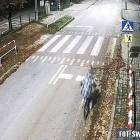 Fotka nr 2 z 4