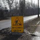 Fotka nr 1 z 7