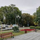 zdjęcie nr 8