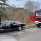 Fotka nr 5 z 6