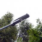 DSC-2616