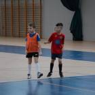 Fotka nr 5 z 66