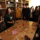 IMG-8733