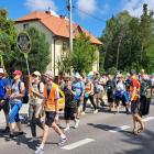 zdjęcie nr 16